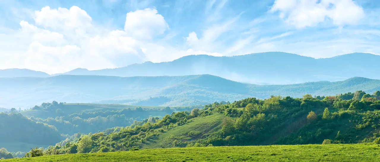 shutterstock_1302294157